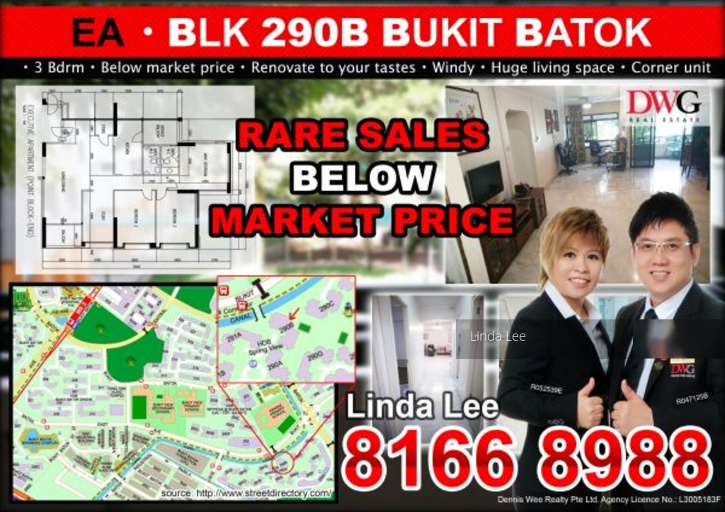 Blk 290B Bukit Batok Street 24 (Bukit Batok), HDB Executive #131748332
